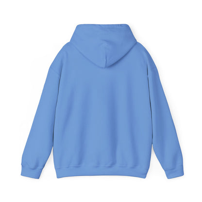 Drifteze Minimalist Unisex Hoodie