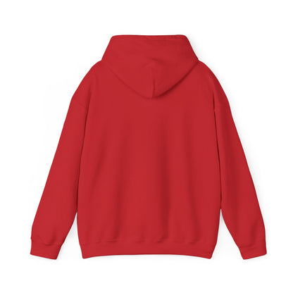 Drifteze Minimalist Unisex Hoodie